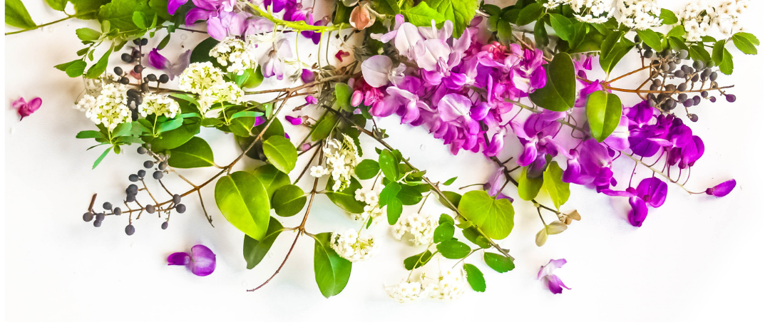 Blumen Frühling