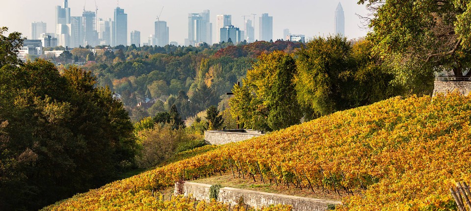 metropole-in-herbststimmung